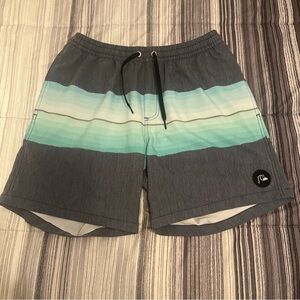Quiksilver Men's Gray and Teal Board Shorts